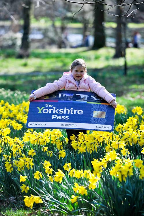 Lily and the Yorkshire Pass