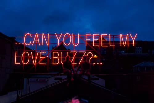 Can You Feel My Love Buzz?...