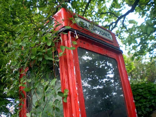 urban-gardening-weekend-taken-by-students-and-residents-of-holbeck-and-beeston-under-guidance-of-lizzie-coombes