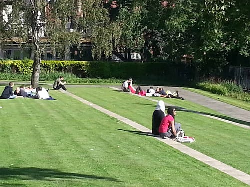 Merrion Gardens