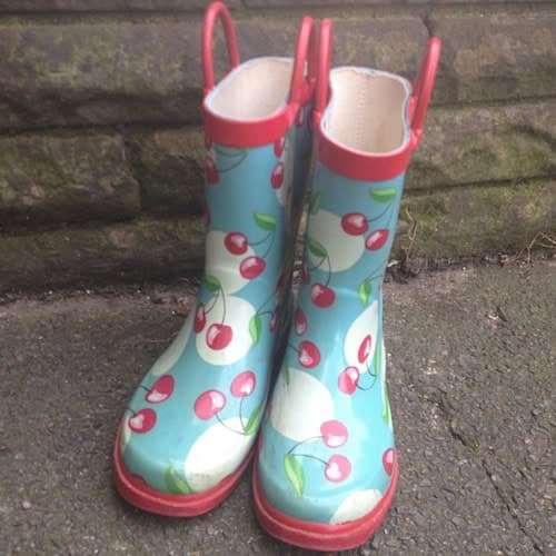 wellies500