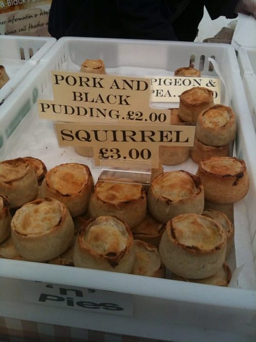 squirrel pie